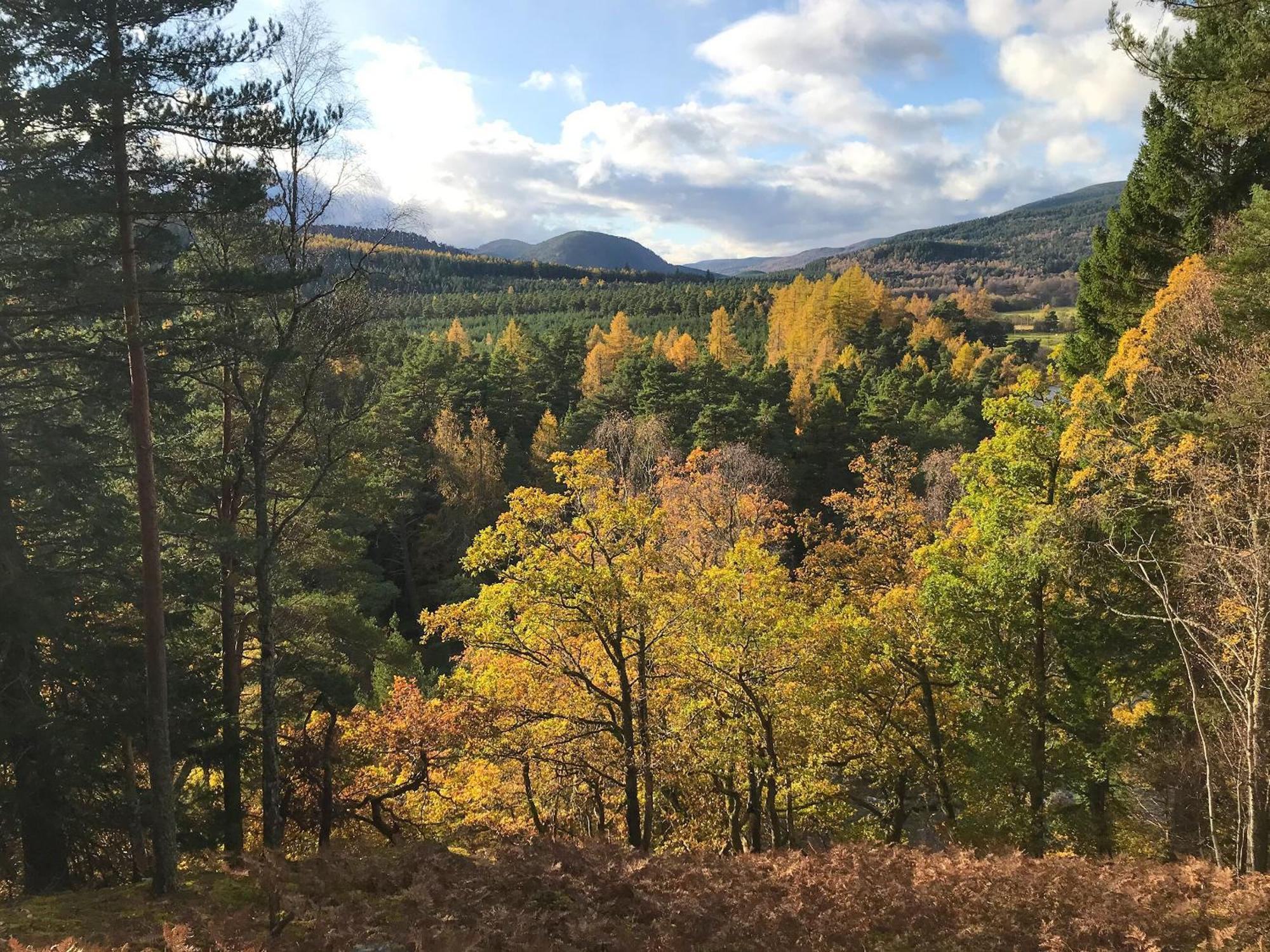 Sycamore Cottage - Uk45923 Ballater Luaran gambar